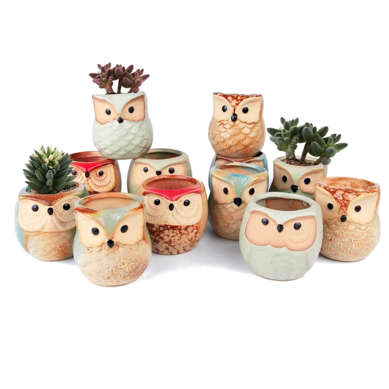T4U 2.5 Inch Owl Ceramic Succulent Planter Pots with Drainage Hole Set of 12, Mini Cactus Pots Tiny Cute Plant Holder Container Best for Home Office Decor Gardening Gift - Image 1